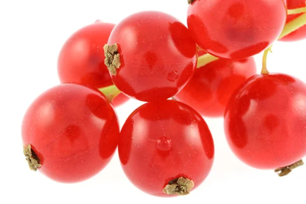 新鲜山莓的特写镜头 — 图库照片