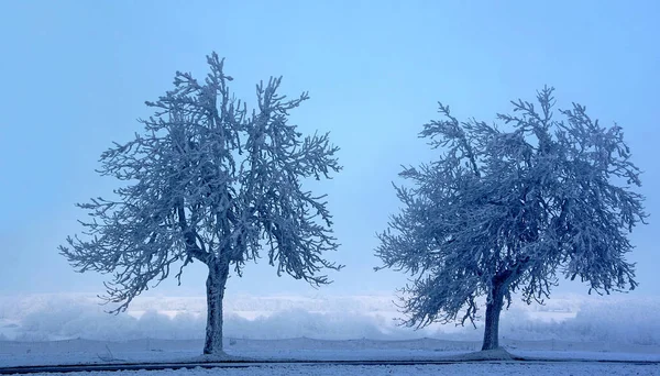 冬景色の美しい景色 — ストック写真