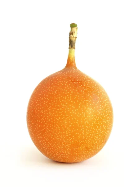 Mogen Melon Isolerad Vit Bakgrund — Stockfoto