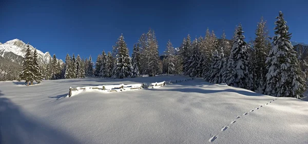 Karla Kaplı Kış Manzarası — Stok fotoğraf