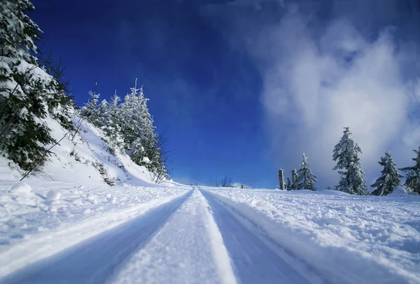 Kış Manzarası Harika Telifsiz Stok Imajlar