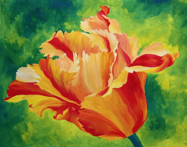 Malowniczy Widok Piękne Kwiaty Tulipan — Zdjęcie stockowe