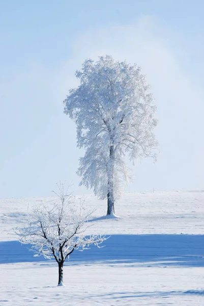 Gyönyörű Kilátás Téli Táj — Stock Fotó