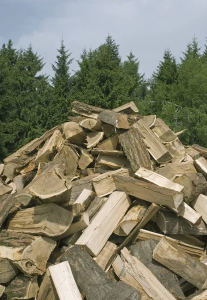 Holz Stämme Baumstamm — Stockfoto