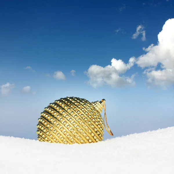 Bola Árbol Castaños Nieve — Foto de Stock