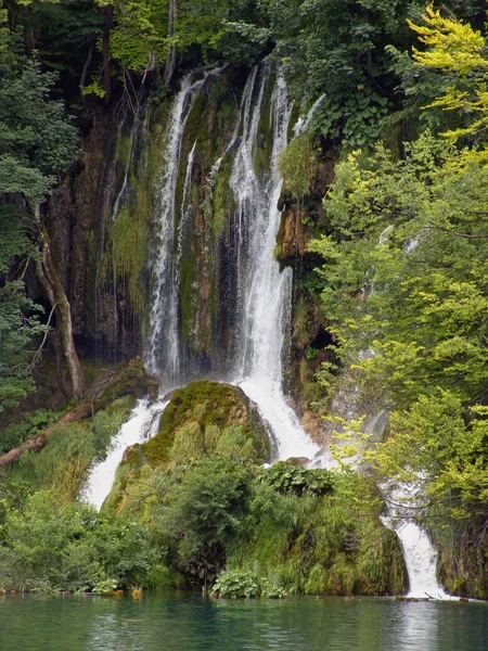 Wodospad Przyrodzie Przepływ Wody — Zdjęcie stockowe