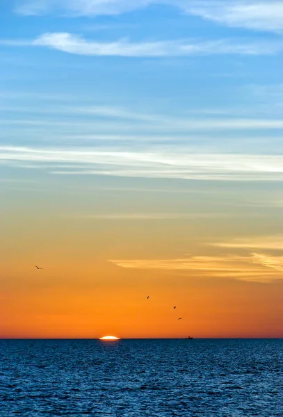 Pôr Sol Naples Florida Eua — Fotografia de Stock