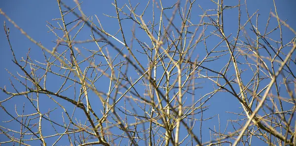 Schöne Aussicht Auf Die Natur — Stockfoto