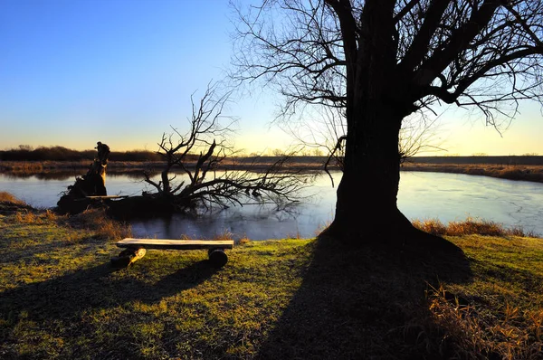 Schöne Aussicht Auf Die Natur — Stockfoto