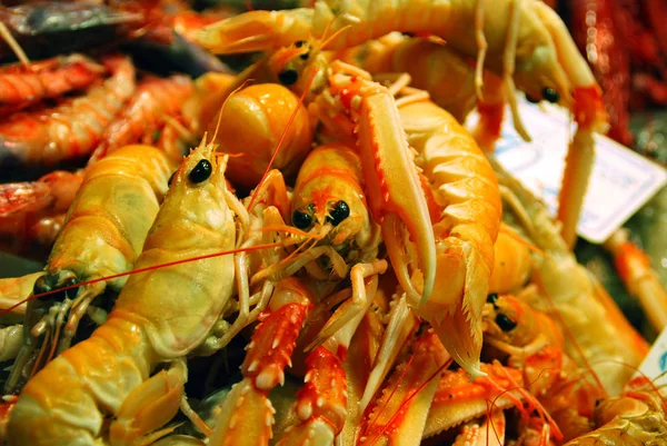 lobster sea food animal