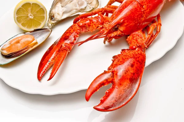 Refeição Frutos Mar Comida Saborosa — Fotografia de Stock