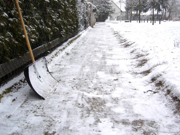 Zeldzame Plicht Winter — Stockfoto