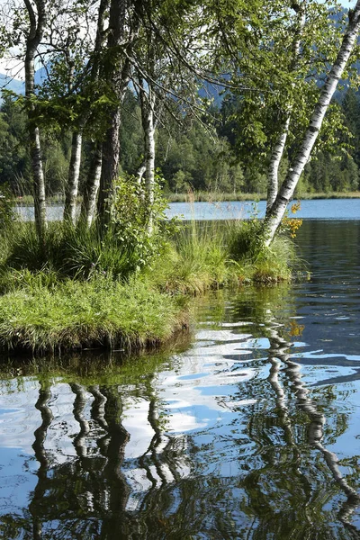 Hermosa Vista Naturaleza — Foto de Stock