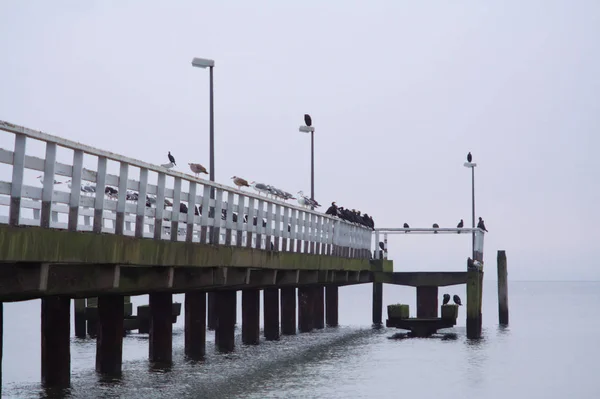 Scenisk Över Bro Struktur Arkitektur — Stockfoto