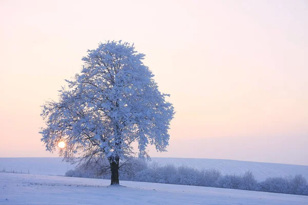 Hermosa Vista Del Paisaje Invierno — Foto de Stock