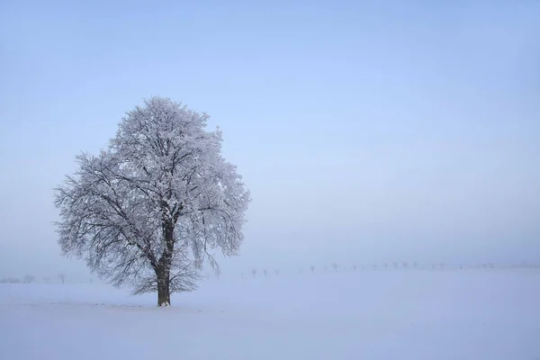 Sob Feitiço Frio — Fotografia de Stock