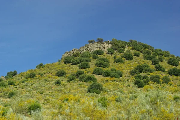 Extremadura Embalse Serena — Stockfoto