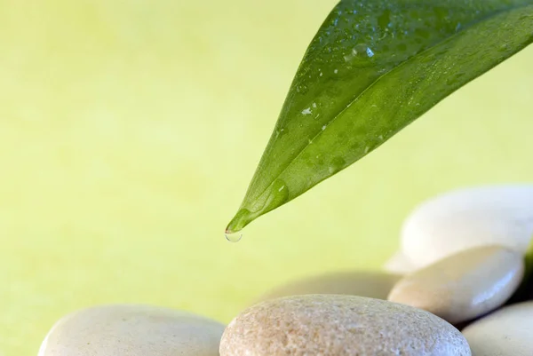 Stones Rocks Pebbles Rocky Background — Stock Photo, Image