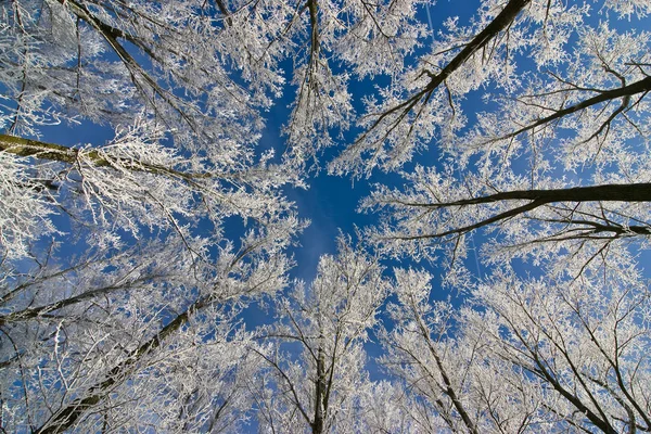 Schöne Aussicht Auf Die Winterlandschaft — Stockfoto