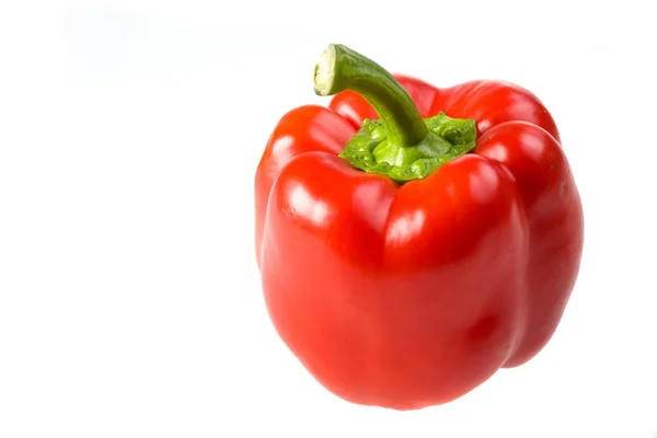 Single Red Pepper Isolated White — Stock Photo, Image