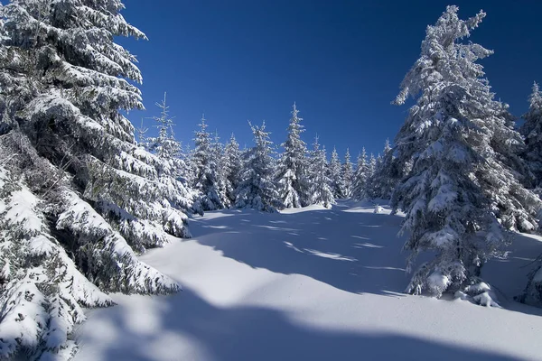 Inverno Nell Harz — Foto Stock
