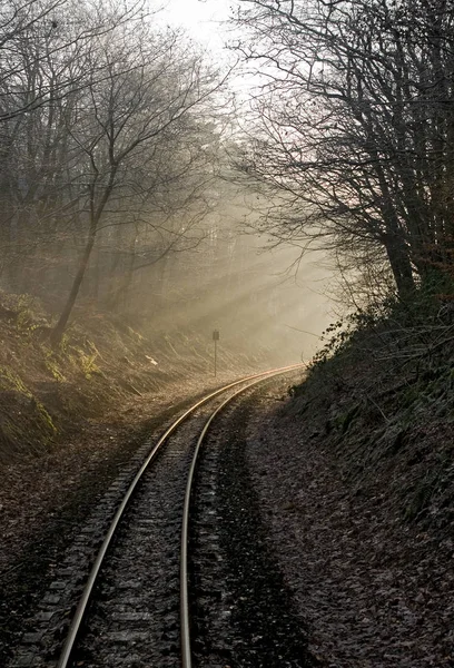 Weg Naar Het Licht — Stockfoto