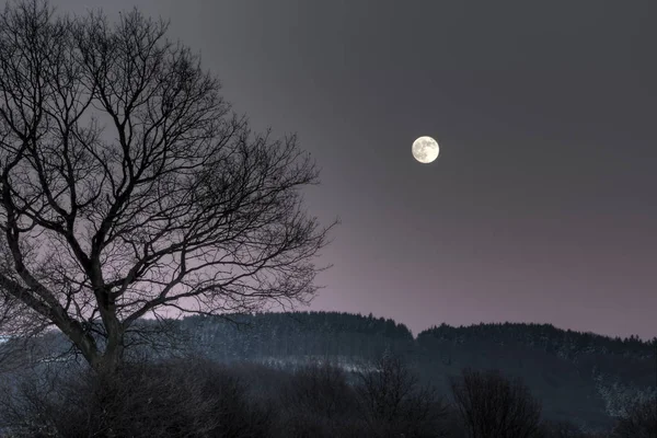 Prachtig Uitzicht Natuur — Stockfoto