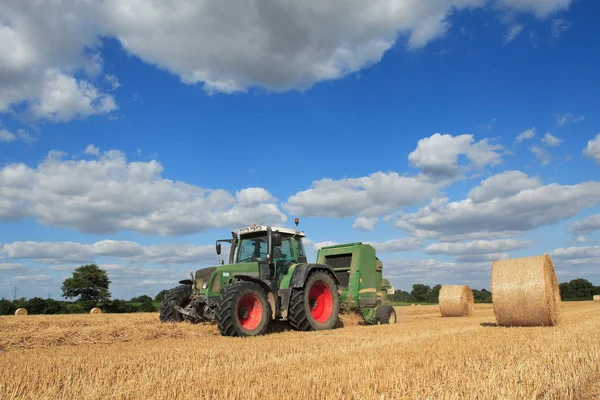 Autumn Harvest Selective Focus Royalty Free Stock Images