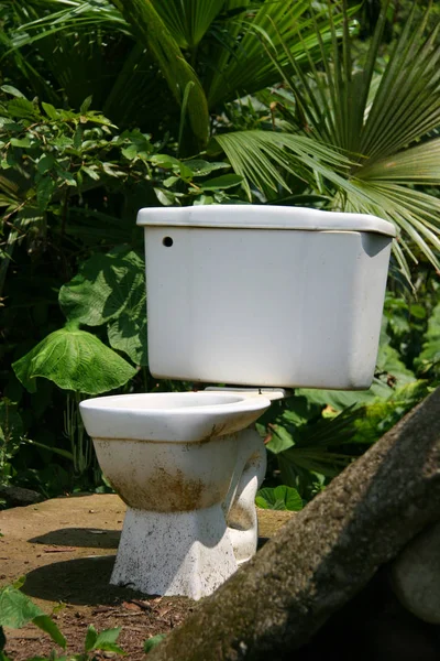 Ormandaki Eski Tuvalet — Stok fotoğraf