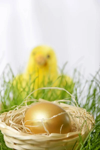 Holiday Colorful Concept Happy Easter Decorations — Stock Photo, Image