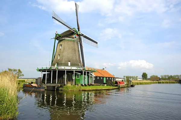 Windmill Zaanse Schans — Stock Photo, Image