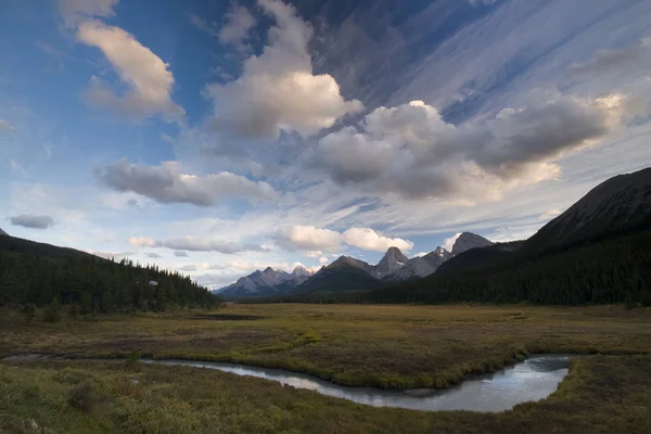 Bella Vista Della Scena Della Natura — Foto Stock