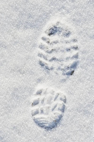 Snow Winter — Stock Photo, Image