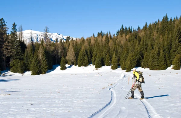 Görkemli Alp Manzarası Manzarası — Stok fotoğraf