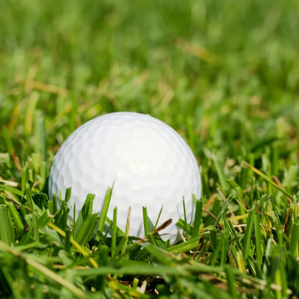 Golfboll Gräs — Stockfoto