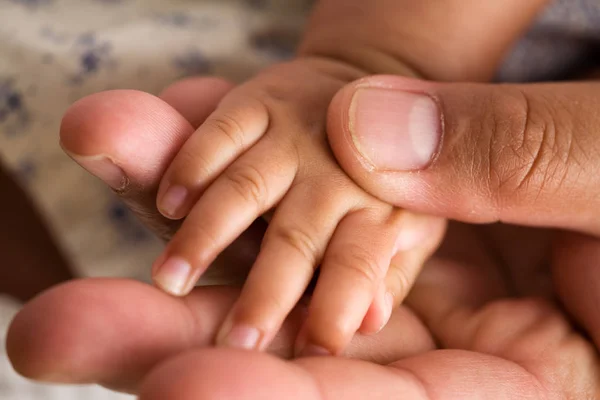 Schattig Familieportret Gelukkig Ouderschap Concept — Stockfoto