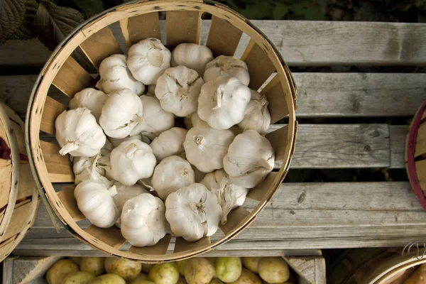 Nahaufnahme Von Knoblauchzwiebeln — Stockfoto