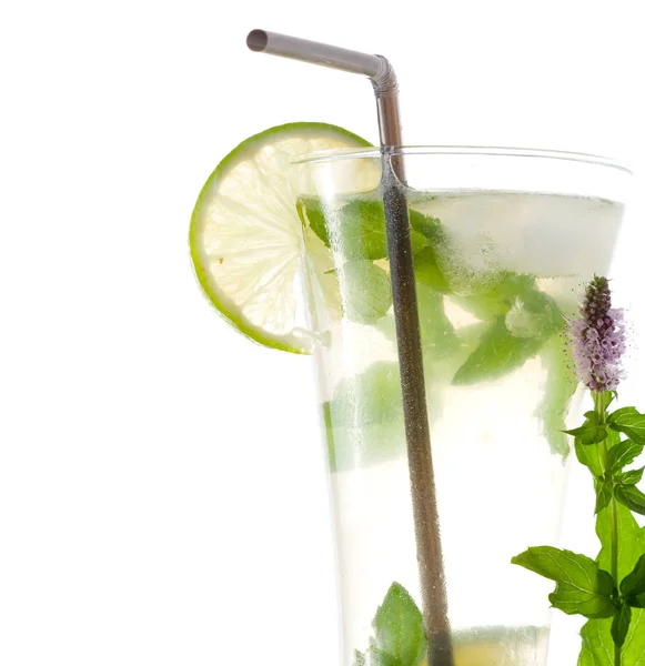 Mojito Coquetel Verão Bebida Fresca — Fotografia de Stock