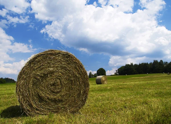 Meadow Hay Bale — Stock Photo, Image