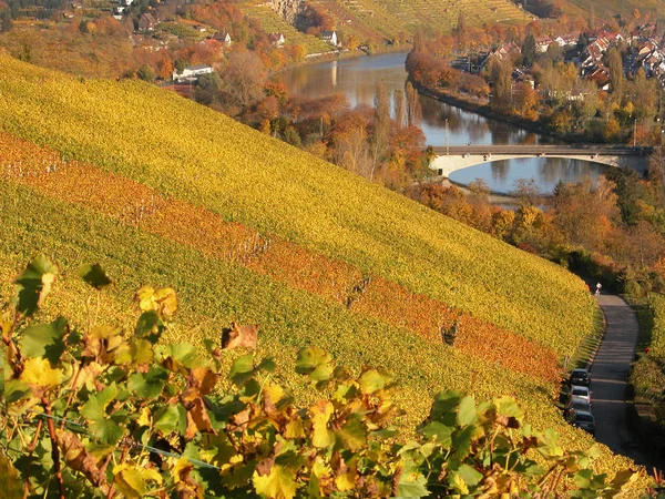 Belle Vue Sur Les Paysages Campagne — Photo