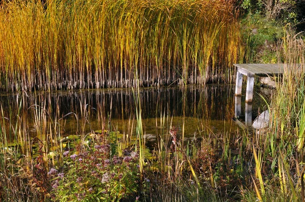 Beautiful View Nature Scene — Stock Photo, Image