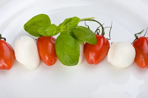 Tomaten Mozzarella Und Basilikum — Stockfoto