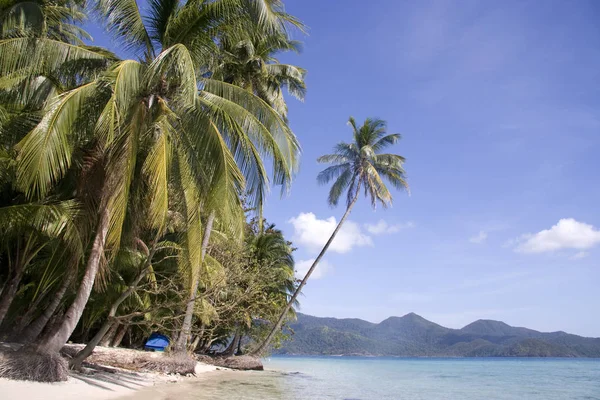 Beautiful Tropical Beach Landscape — Stock Photo, Image