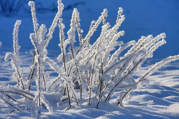 Cristalli Ghiaccio Gelo Invernale — Foto Stock