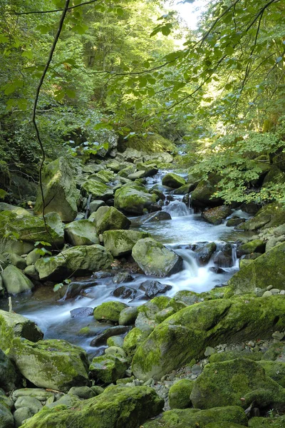 Prachtig Uitzicht Natuur Scene — Stockfoto