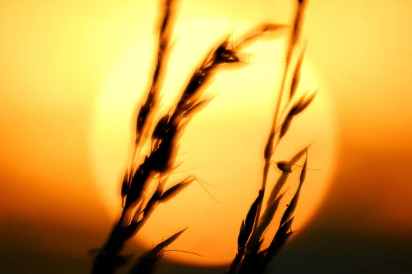 Bela Vista Céu Por Sol — Fotografia de Stock