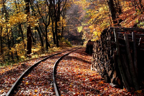 Malerischer Blick Auf Schöne Herbstlandschaft — Stockfoto