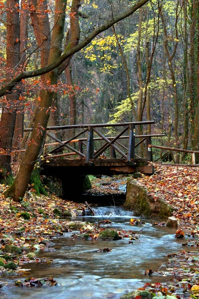 Malebný Pohled Krásnou Podzimní Krajinu — Stock fotografie