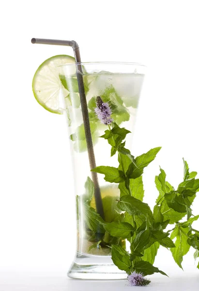 Mojito Coquetel Verão Bebida Fresca — Fotografia de Stock