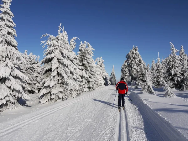 Belle Vue Sur Paysage Hivernal — Photo